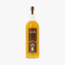 Boisson citron et gingembre bio Alain Milliat