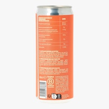 Soda prot&eacute;in&eacute; p&ecirc;che Pulse