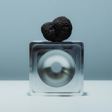 Truffe au chocolat noir et noisettes Tartufo Regale