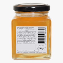 Miel de tilleul de Picardie Hédène