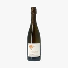 Alain Robert, Troglodyte, AOC Vouvray Vignoble Alain Robert