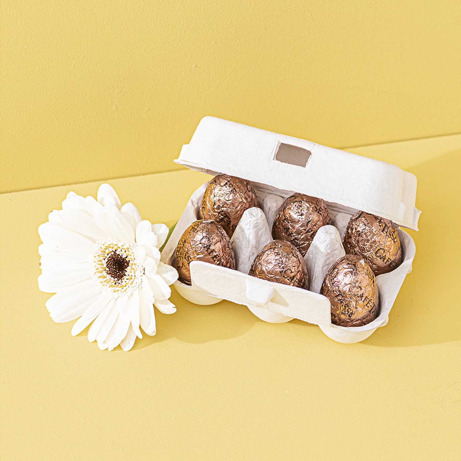 Bo&icirc;te de 6 oeufs de P&acirc;ques en chocolat noir et pralin&eacute; Caf&eacute;-Tasse