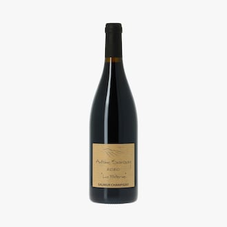 Antoine Sanzay, La Paterne, AOP Saumur Champigny, 2020, biologique Domaine Antoine Sanzay