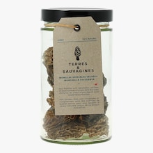 Morilles sp&eacute;ciales s&eacute;ch&eacute;es Terres et Sauvagines
