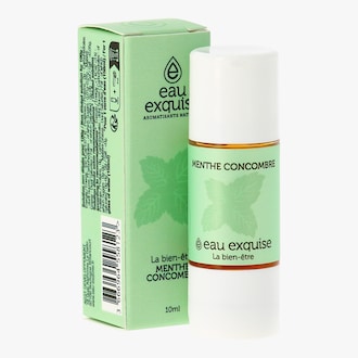 Aromatisant Menthe Concombre Eau Exquise