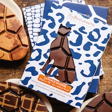 Chocolat noir 70% c&oelig;ur noisette du Piemont IGP - La force sauvage N&eacute;ogourmets