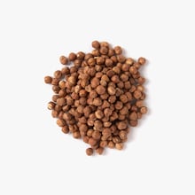 Noisettes Nocciola del Piemonte IGP Maison Naja