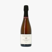 Champagne Pierre Paillard, Bouzy Grand cru, Les Parcelles, 2021 Champagne Pierre Paillard