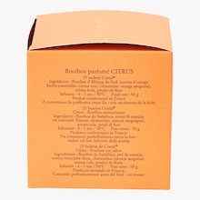 Rooibos parfumé Citrus - Boîte de 25 sachets Dammann Frères