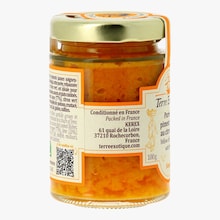 Purée de piment jaune au citron vert Terre Exotique