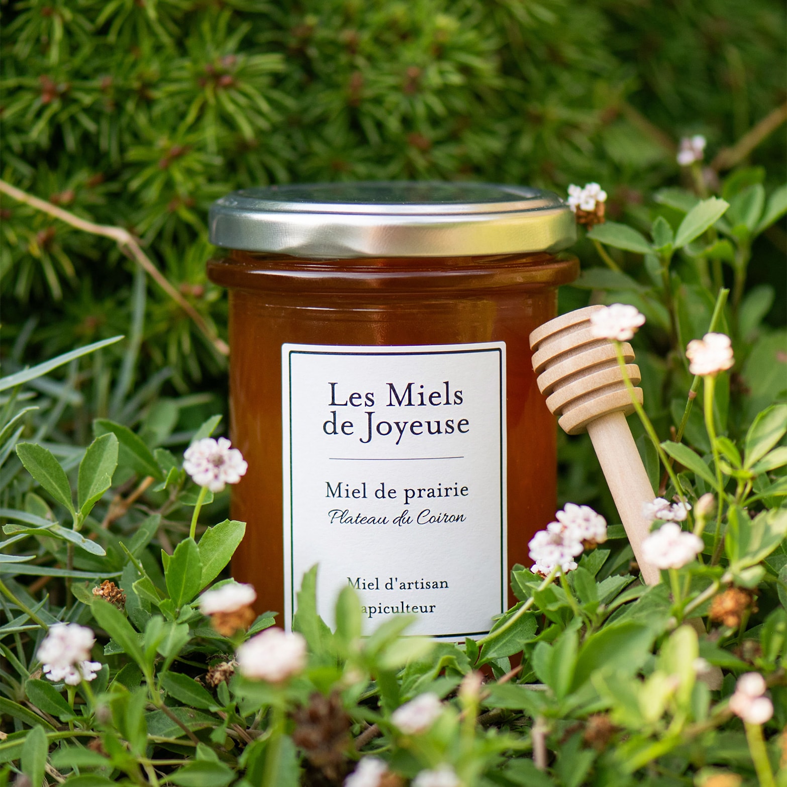 Miel de prairie, plateau du Coiron Les Miels de Joyeuse