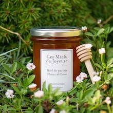 Miel de prairie, plateau du Coiron Les Miels de Joyeuse