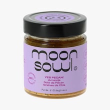 Pur&eacute;e d&rsquo;ol&eacute;agineux - YES PECAN Moonsowl