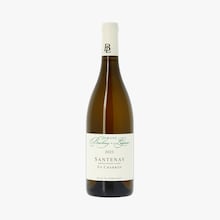 Domaine Bachey-Legros, En Charron, AOC Santenay, 2023 Domaine Bachey-Legros