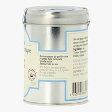 Givre de sel Terre Exotique