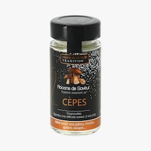 Flocons de saveur aux c&egrave;pes, pr&eacute;paration aromatisante Savor & Sens