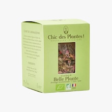 Belle plante Chic des Plantes !