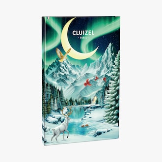 Calendrier de l&rsquo;Avent - Assortiment de bonbons de chocolat Cluizel