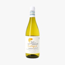 Cantina Tollo, DOP Trebbiano d'abruzzo, 2021 Cantina Tollo