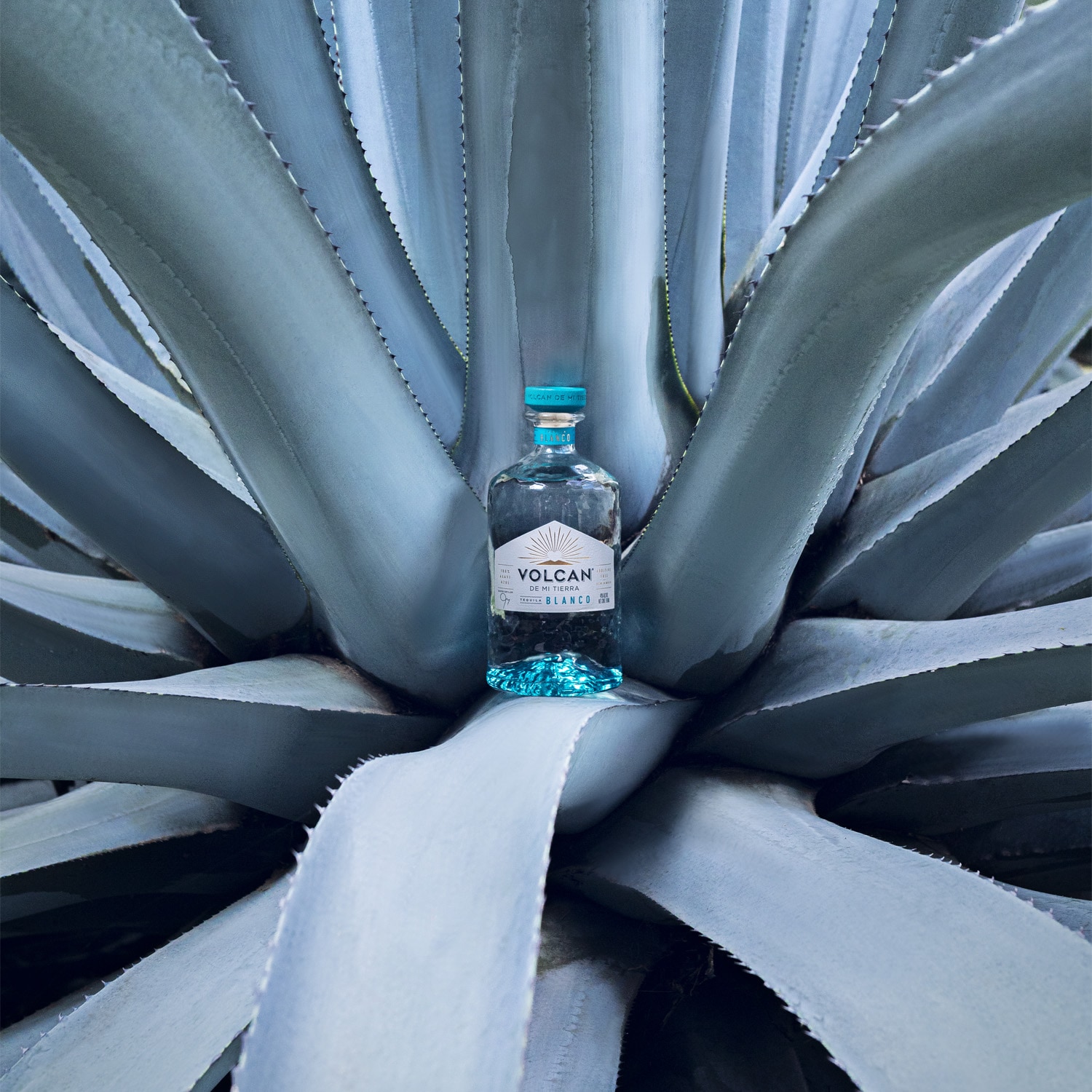 Tequila Blanco Volcan de mi Tierra