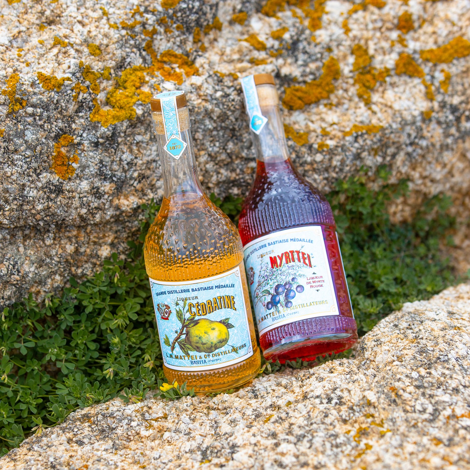 Liqueur L.N. Mattei, Myrttei rouge L.N. Mattei