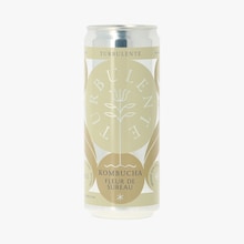 Kombucha fleur de sureau biologique Turbulente