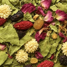 Infusion Jardins de versailles Maison Alexis Lepers