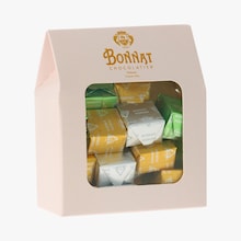Chocolats pralin&eacute;s Bonnat