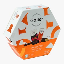 Collection - Assortiment de chocolat lait, noir et blanc Galler