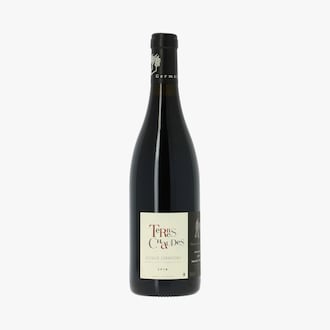 Domaine des Roches Neuves, Terres chaudes, AOC Saumur-Champigny, 2014, biologique Domaine des Roches Neuves