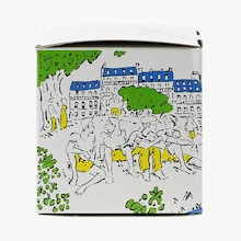 Yerba maté citron bio Yvy