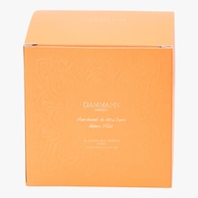 Rooibos parfumé Citrus - Boîte de 25 sachets Dammann Frères