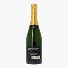 Champagne Castelnau, Blanc de blancs, brut, 2010 Champagne Castelnau