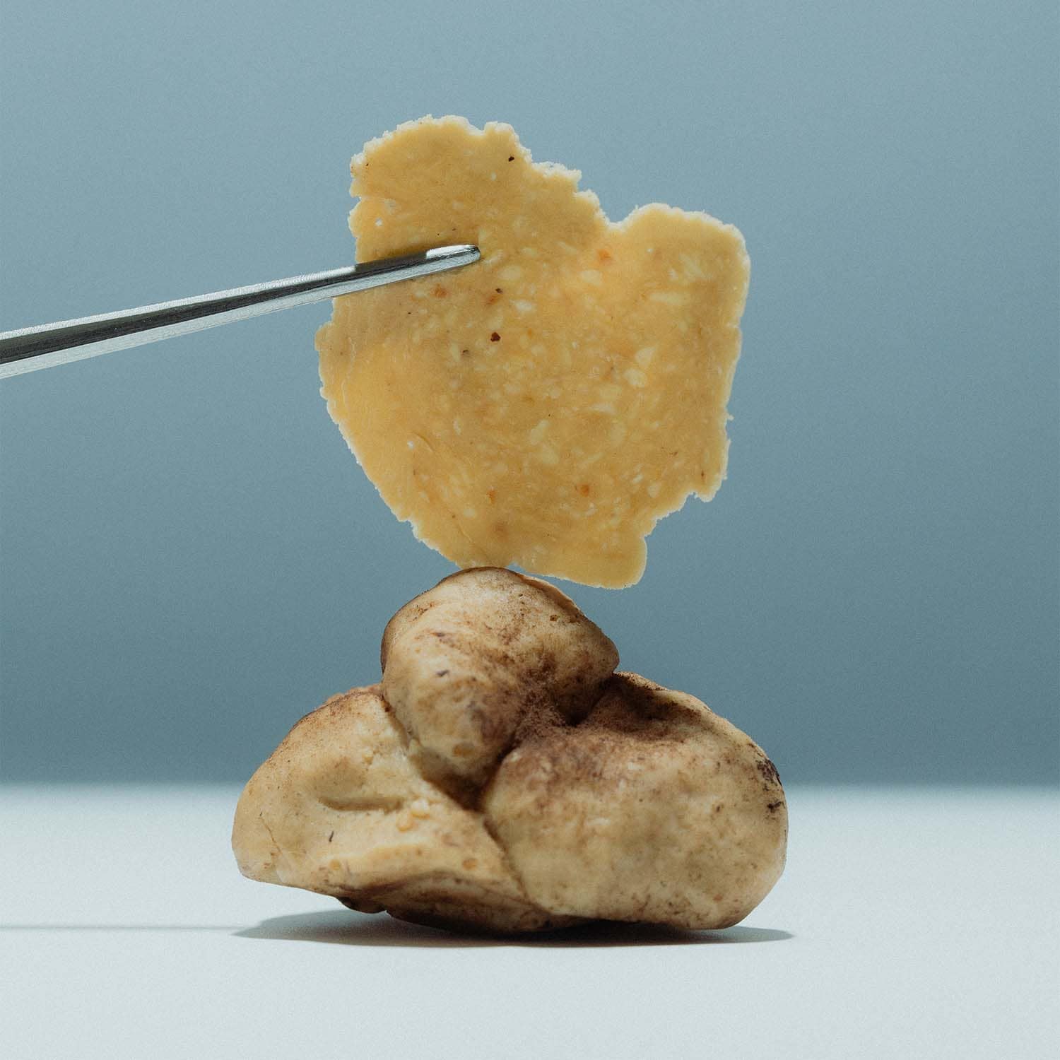 Truffe au chocolat blanc et noisettes - Alba White Tartufo Regale