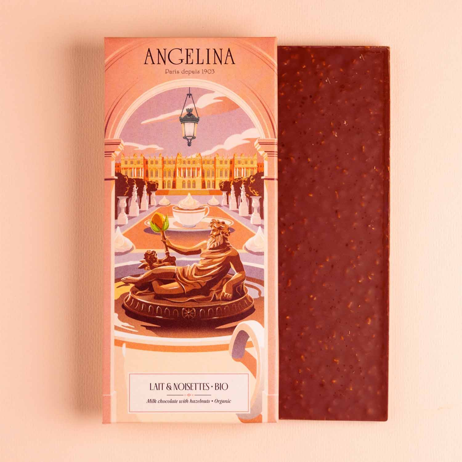 Tablette de chocolat au lait et aux noisettes bio Angelina