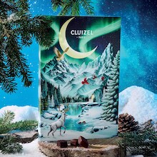 Calendrier de l&rsquo;Avent - Assortiment de bonbons de chocolat Cluizel