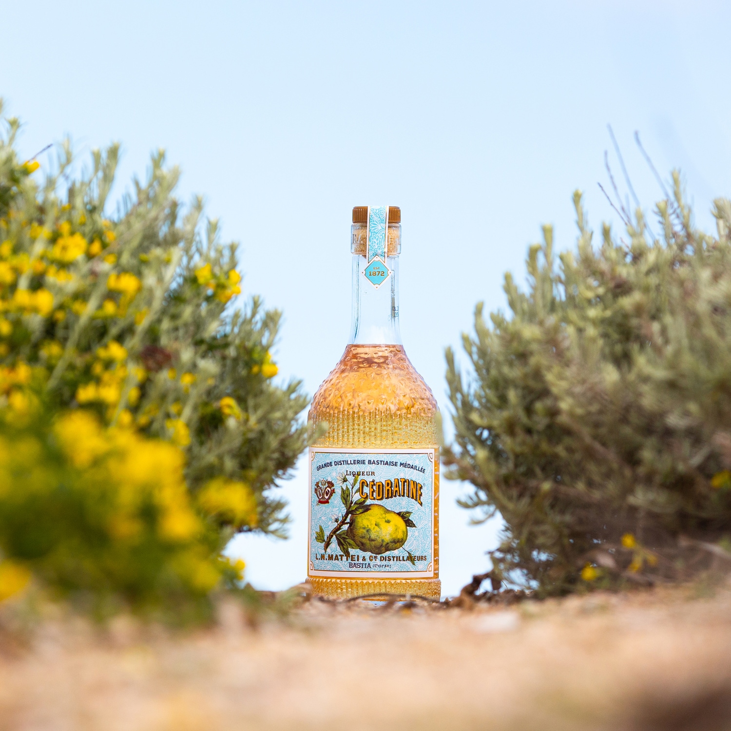 Liqueur L.N. Mattei, Cédratine L.N. Mattei