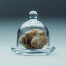 Truffe au chocolat blanc et noisettes - Alba White Tartufo Regale