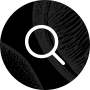 icon-search